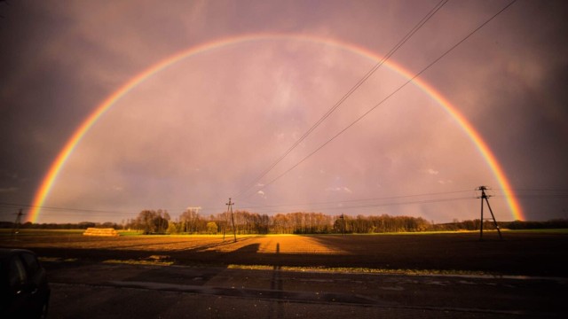 Wiosna okiem mieszkańców powiatu międzychodzkiego