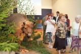 Ekspozycja „Żubr – król puszczy” w Muzeum Ziemi Wieluńskiej 