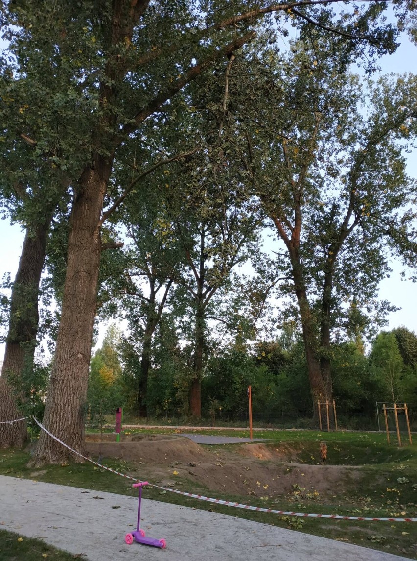 Park przy Unii Europejskiej w Lesznie, złamany konar zawisł nad miejscem zabaw