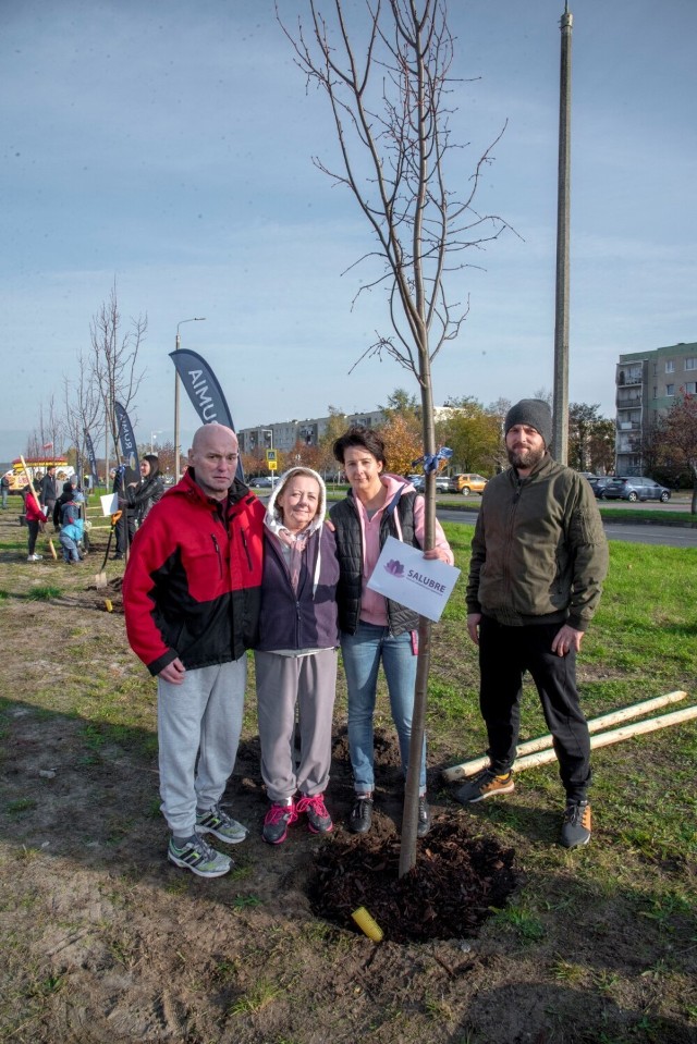 Zakończyła się pierwsza edycja miejskiej akcji społecznej „Zieleń na mur-beton”, w ramach której związani z Rumią przedsiębiorcy sfinansowali 71 drzew.