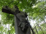 Tajemnicze XIX-wieczne mauzoleum ukryte w lesie na terenie gm. Malechowo ZDJĘCIA