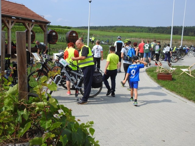 W niedzielę, 2 września, Lubuskie Centrum Winiarstwa w Zaborze zamieniło się  w centrum pszczelarstwa. Po raz pierszy odbyło sie tam Lubuskie Miodobranie. 

Jak przystało na pszczelarski jarmark, na stołach królowały miody i inne wyroby pszczelarskie. Były pokazy specjalistycznego sprzętu i tematyczne warsztaty. Na najmłodszych czekała strefa dziecięca z wieloma atrakcjami. 

Ogłoszone zostały także konkursu na wzorową pasiekę prowadzoną w Lubuskim Związku Pszczelarzy w Zielonej Górze. I miejsce zajął Sławomir Owczarzak z Czerwieńska, II miejsce przypadło Krzysztofowi Królowi z Dobroszowa Wielkiego, a trzecie Eugeniuszowi Jankowieckiemu z Gęstowic. Wyróżnienie otrzymali Stefan Narolski i Zygmunt Darowny z Kożuchowa..

Zobacz wideo: Dlaczego masowo giną pszczoły?


