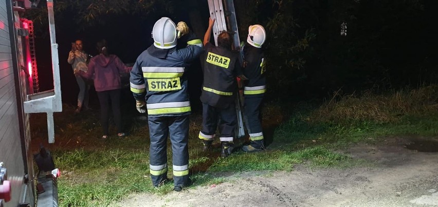 Strażacy ściągnęli kota z drzewa w Żarkach i wyciągnęli psa ze studzienki w Mętkowie 