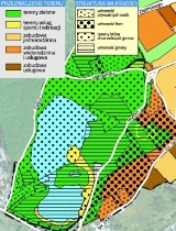 Kraków. Zakrzówek. Lecą „szuje” ze strony artystki-ekologa 