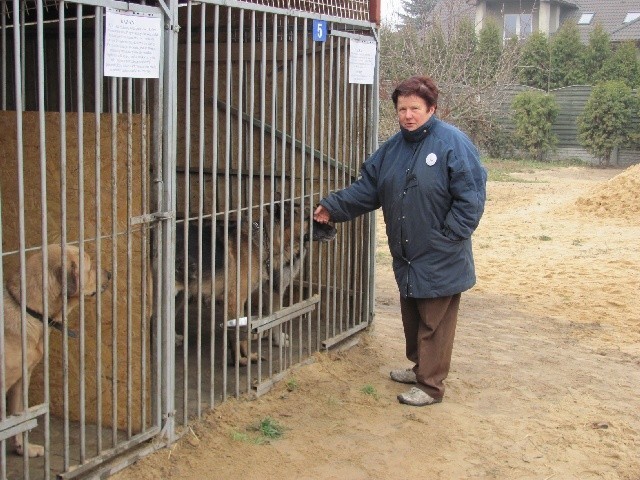 Myszków: Otwarta adopcja w schronisku [ZDJĘCIA]