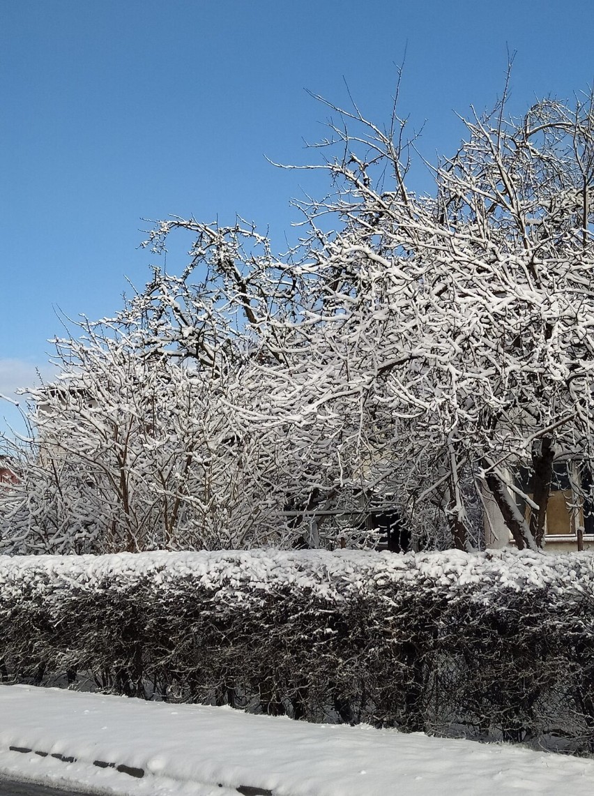 Zima przyszła na wiosnę: Puck i powiat pucki przykryte białą kołdrą - 30 marca 2022
