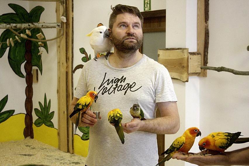 Papugarnia w Legnicy - 50 ptaków w jednym miejscu [ZDJĘCIA]