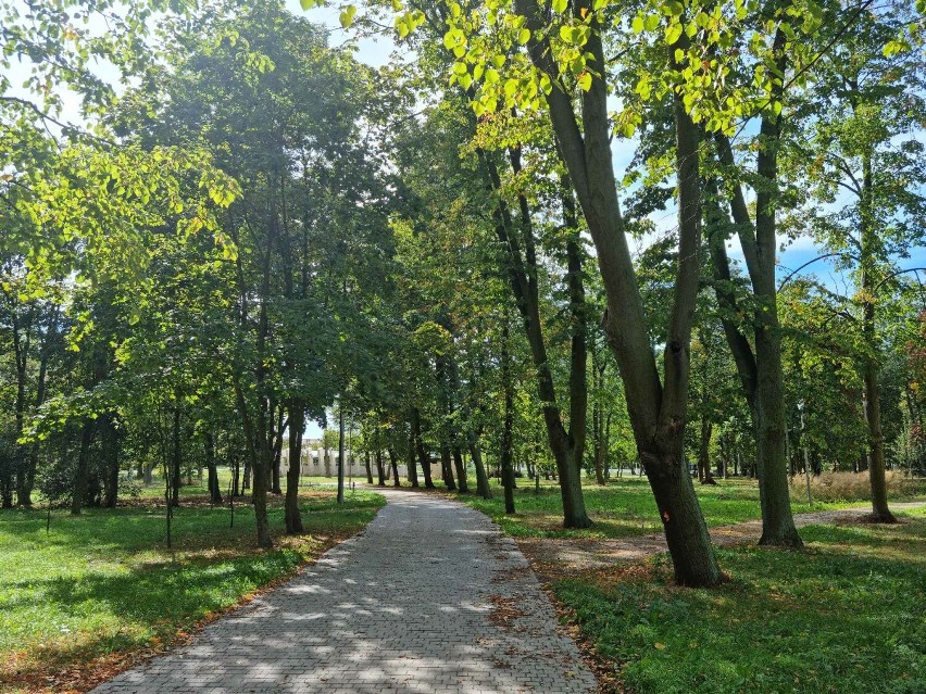 Park miejski w Turku w końcu wyremontowany. Prace trwały tam prawie 4 lata. Jak teraz wygląda to miejsce? 