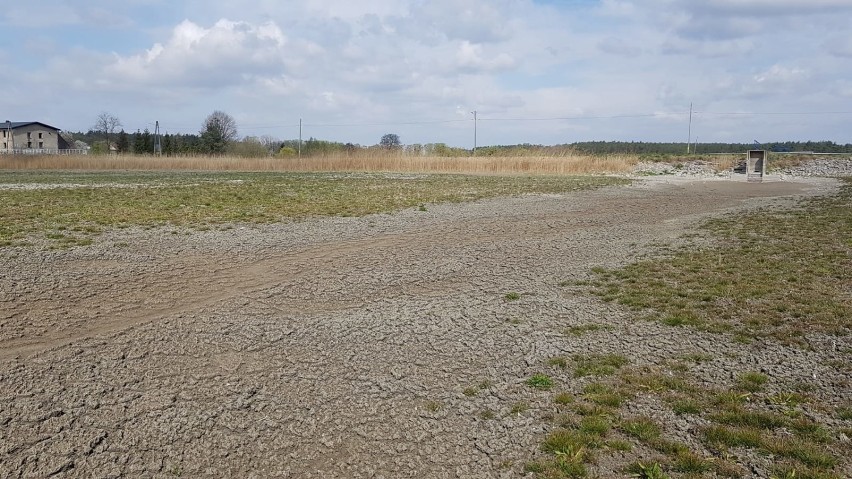 Stawy w Gąsiorowicach przypominają pustynię. Sytuacja hydrologiczna jest dramatyczna