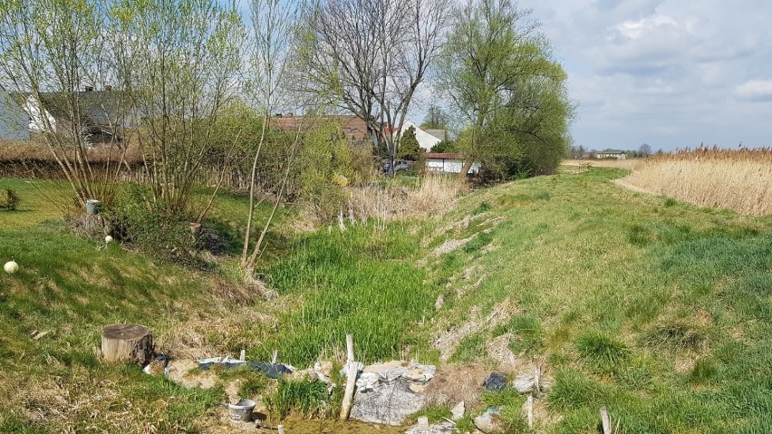 Stawy w Gąsiorowicach przypominają pustynię. Sytuacja hydrologiczna jest dramatyczna