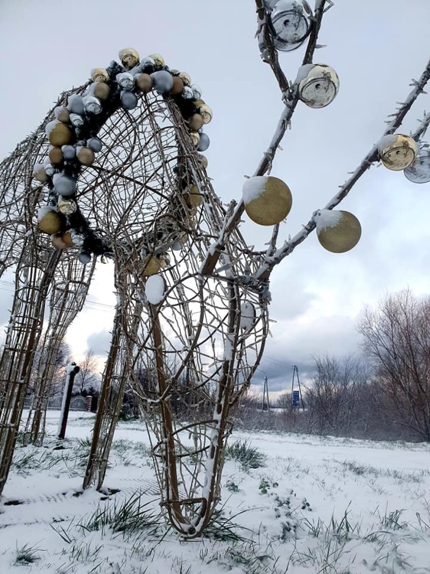 Świąteczne iluminacje w gminach powiatu sławieńskiego [zdjęcia]