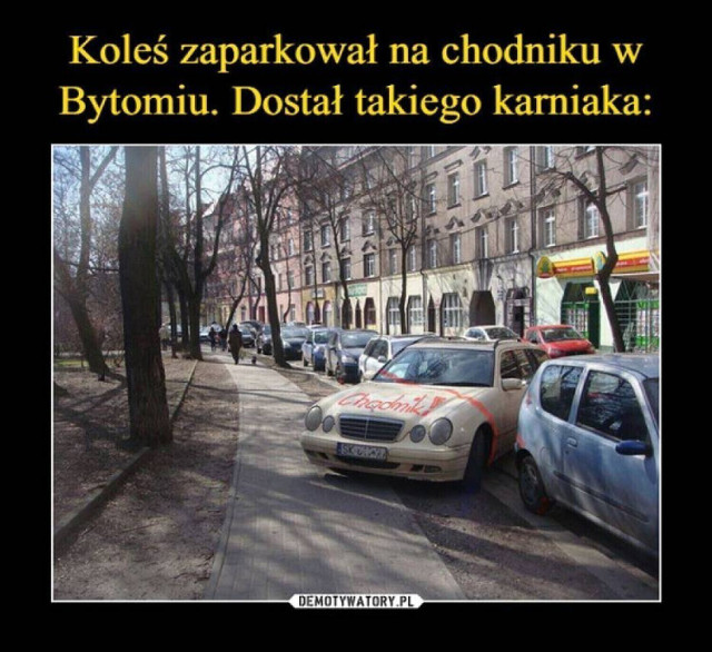 https://d-art.ppstatic.pl/kadry/k/r/8d/25/640ef36630289_o_medium.jpg