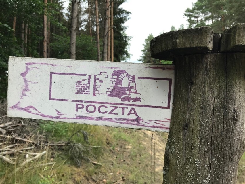 Radusz – ogromna wieś w Puszczy Noteckiej, która przestała...