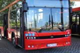 Pierwsze nowe autobusy przyjechały do Nowej Soli [ZDJĘCIA]