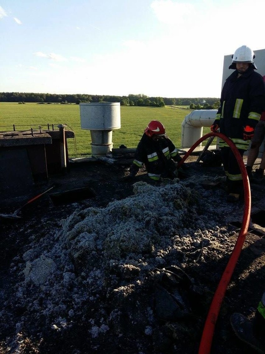 Przed siedzibę chełmińskiej KP PSP zajechał kierowca audi,...