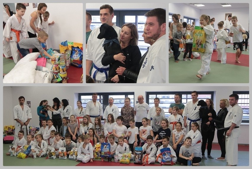 Włocławski Klub Karate Kyokushin przy ul. Piwnej...