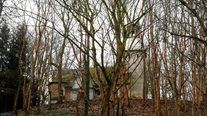 Koszewko na zdjęciach. Przyroda i architektura. Jezioro Miedwie, pałacyk z pomnikowymi drzewami, kościół. Fotoreportaż z 14 marca 2021 roku 