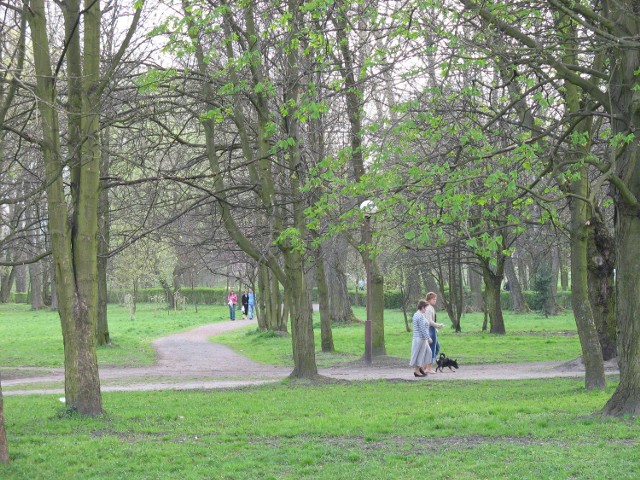 Tak park 1000-lecia wyglądał przed trwającym jeszcze remontem