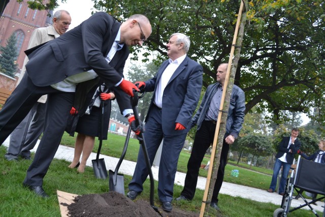 Park przy Bazylice w Rybniku też się zmienił