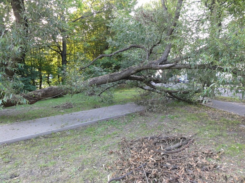 Kartuzy - dzięki interwencji Czytelnika można swobodnie przejść chodnikiem przy ul.Majkowskiego