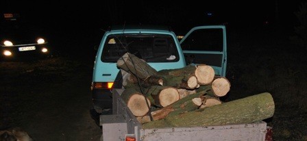 Nadużywający alkoholu kradł drewno z lasu