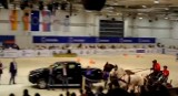 Cavaliada 2014: Halowe Mistrzostwa Polski w Powożeniu Zaprzęgami (wideo)