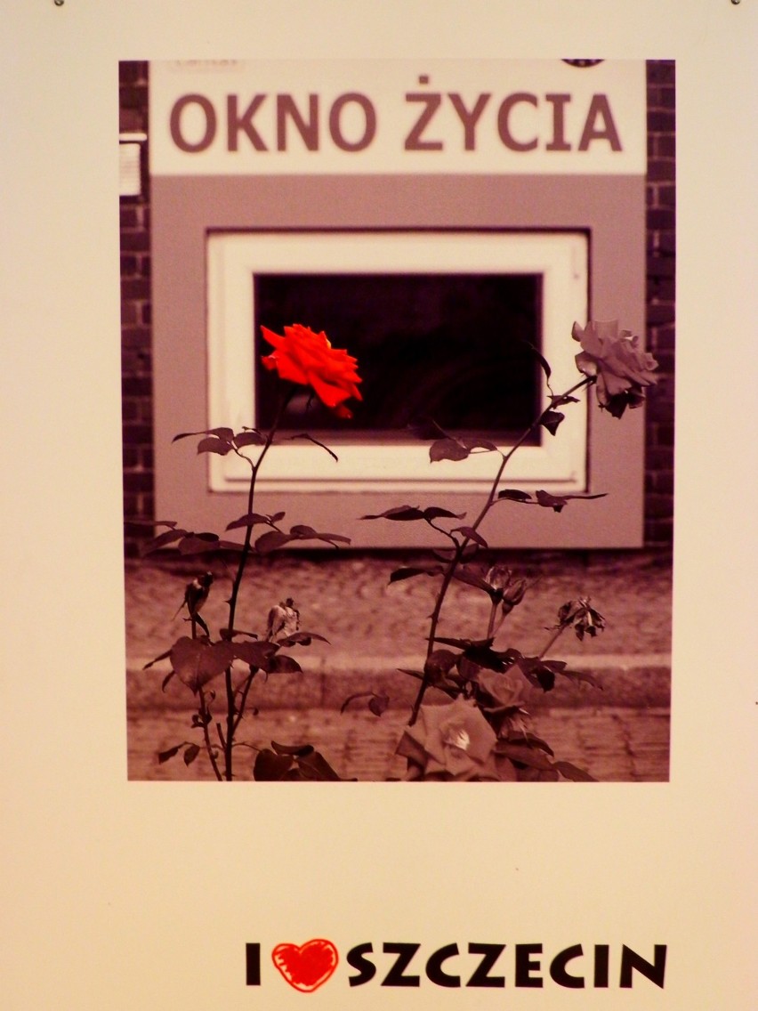 Wystawa fotografii Ryszarda Pilcha I love Szczecin