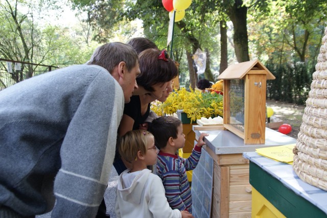 15 i 16 września w ZOO będzie okazja bliżej poznać pszczoły oraz ...