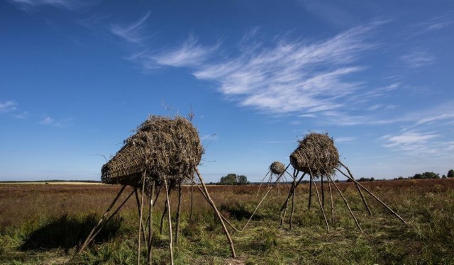 Land Art Festiwal w ub. roku. Wyplecione z wierzby abstrakcyjne istoty, czyli "Migracja " Jana Sajdaka.