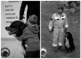 Psi ratownik GRS OSP Nowy Sącz odszedł na wieczną służbę. Był ulubieńcem dzieci 
