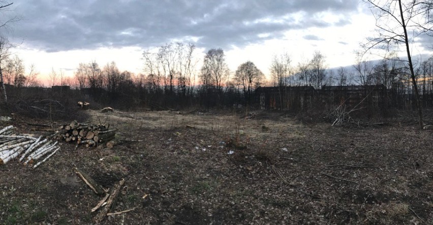 Wycięto drzewa na Paruszowcu. Chcieli zbudować osiedle? Przypadek? [NOWE ZDJĘCIA]