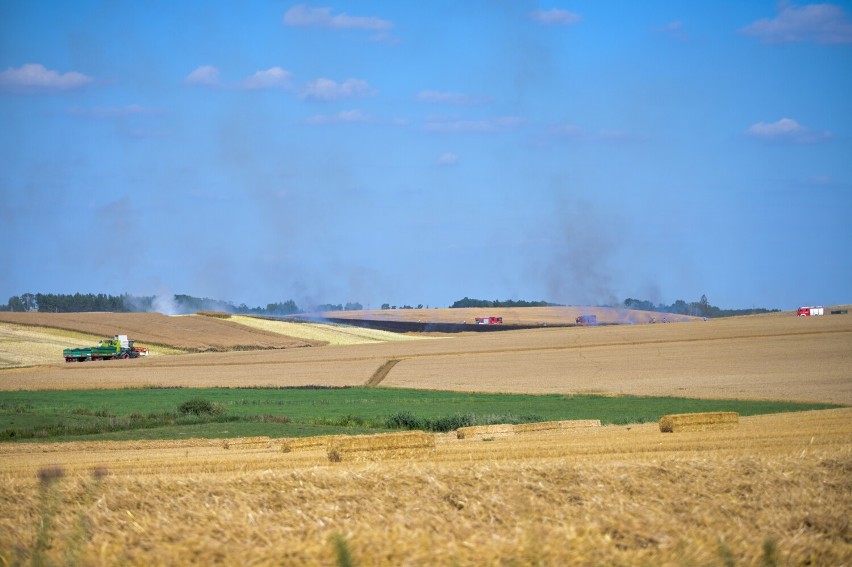 Pożar zboża w Słupie pod Grudziądzem. Dym było widać z daleka [zdjęcia]