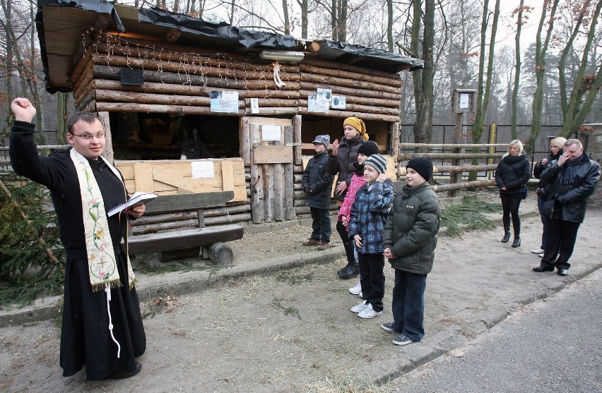 Żywa szopka w szkole podstawowej przy ul. Okólnej w Łodzi