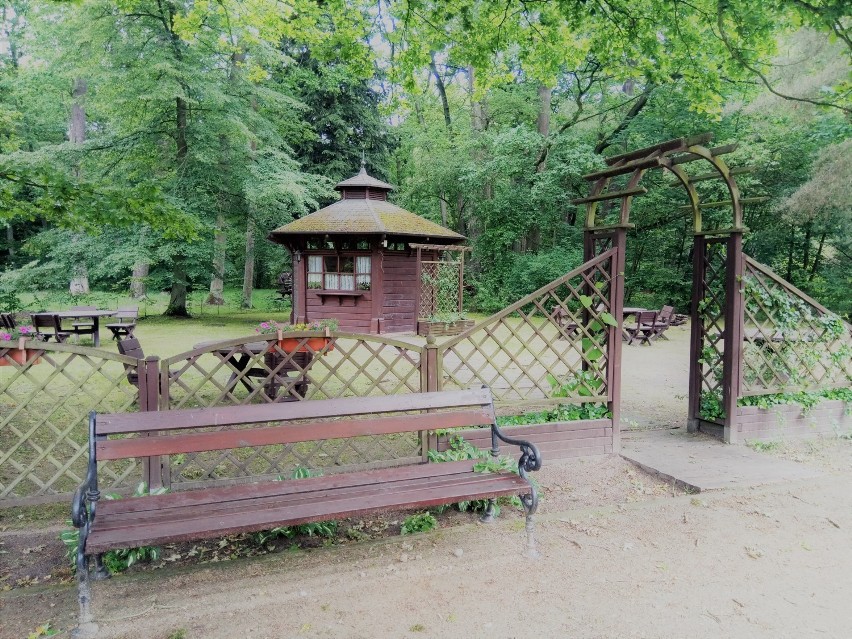 Zobacz urokliwy park wokół pałacu książąt Radziwiłłów w...