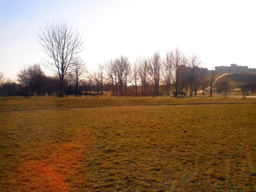 Fotogaleria skąpanego w słońcu parku na osiedlu Armii Krajowej
