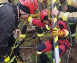 Pod Siemyślem kot wpadł do głębokiej studni. Strażacy ruszyli na pomoc