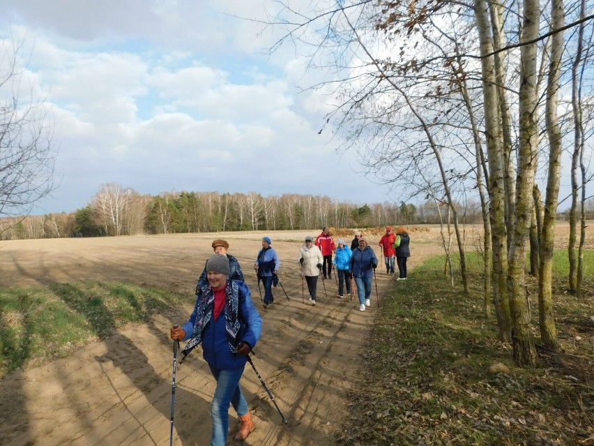 Karniewscy seniorzy wzięli udział w drugim spotkaniu Nordic Walking. 11.04.2022 przeszli 6 km