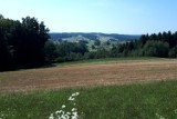 Lato w okolicach Święcan. Takie klimaty tylko na Jasielszczyźnie. Zobaczcie zdjęcia