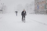 Ścieżki rowerowe pod warstwą lodu i śniegu. "Miasto ich nie odśnieża, bo oszczędza na rowerzystach"