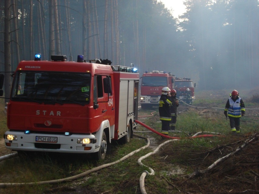 Straż pożarna w Chodzieży na leśnych manewrach [ZDJĘCIA]