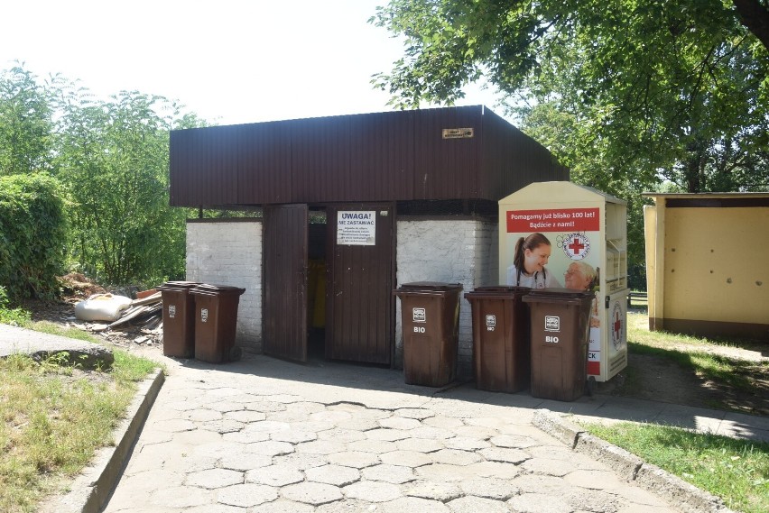 Tarnów. Plaga szczurów na osiedlu Grabówka. Gryzonie w upały biegają po ulicach. Mieszkańcy są w strachu