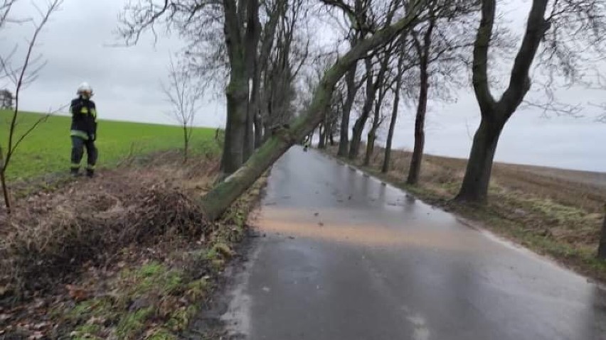 Wichury nad powiatem międzychodzkim - 22 interwencje służb...