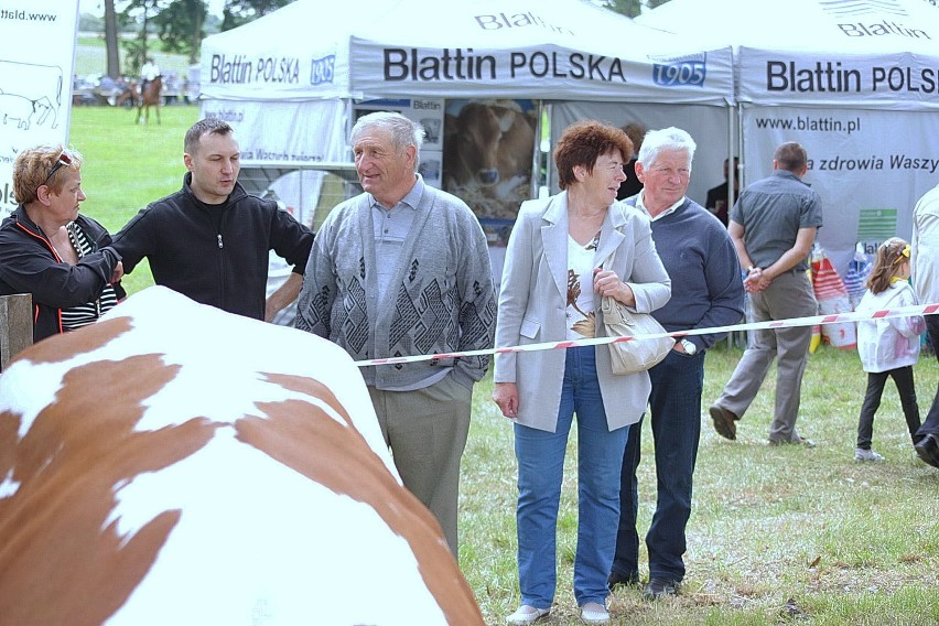 Wystawa zwierząt w Benicach 2013