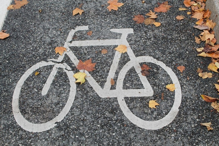 Ścieżka rowerowa ma połączyć Sztum z Malborkiem. Jest przetarg na dokumentację!