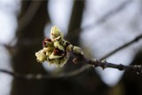 Pogoda na Wielkanoc 2016. Śmigus-dyngus nie tak słoneczny, jak niedziela [PROGNOZA]