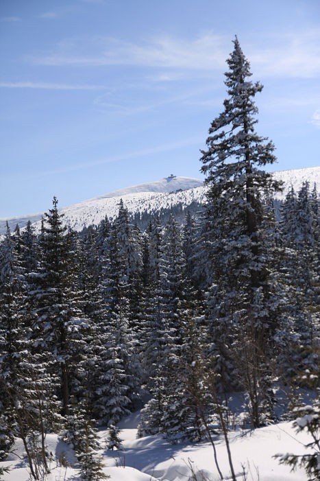 W oddali Śnieżka. Karkonosze należą do Światowej Sieci Rezerwat&oacute;w Biosfery UNESCO. Fot. Tomasz Hens