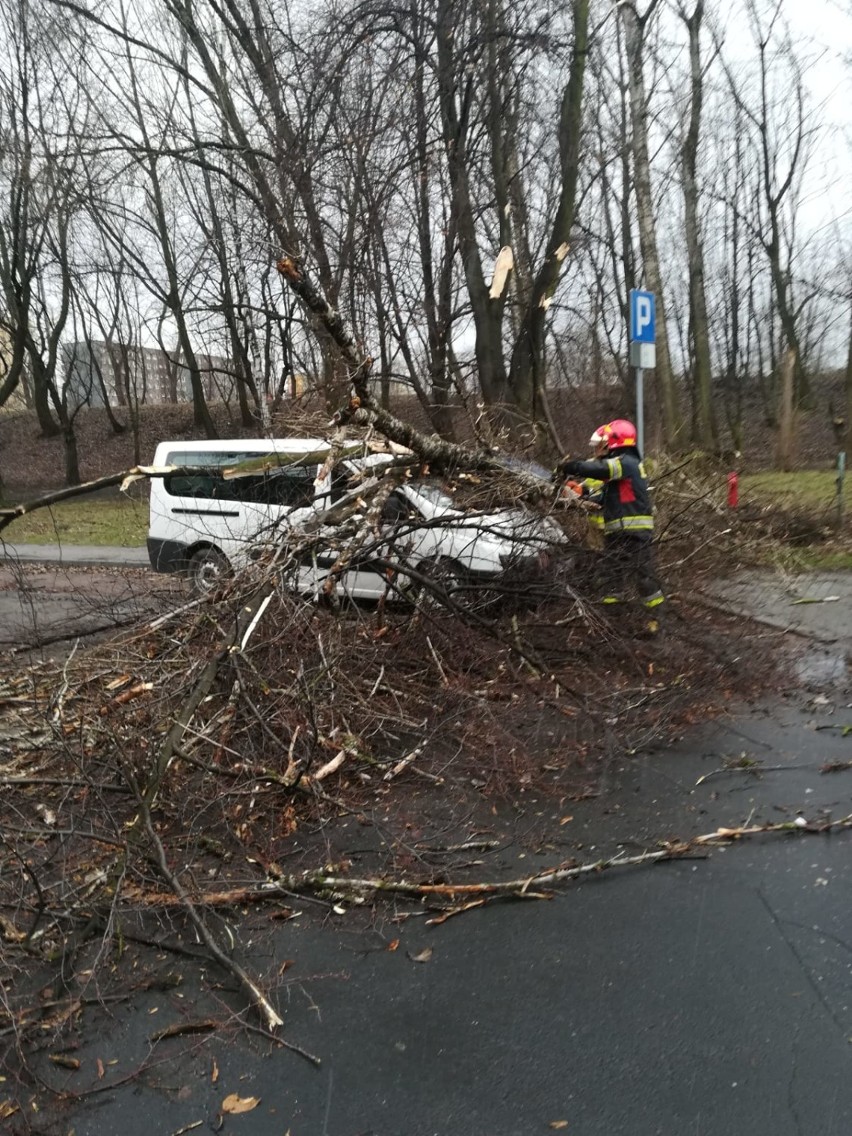 Skutki wichury w Siemianowicach Śląskich: połamane drzewa i...