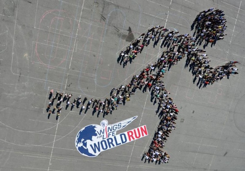 Wings for Life World Run Announcement 2014