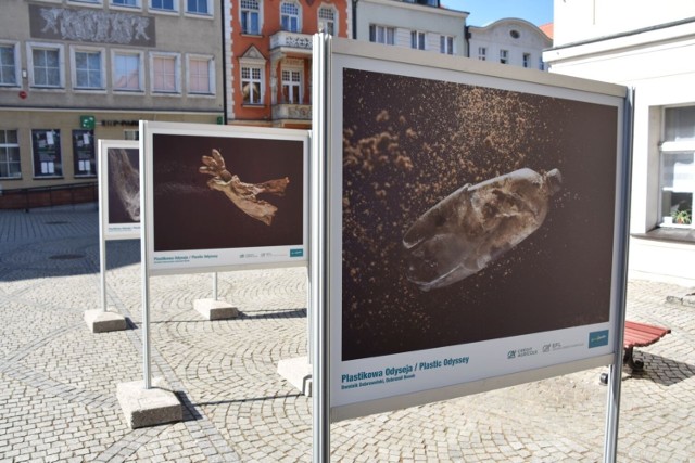 Plenerowa wystawa o Bałtyckiej Odysei na zielonogórskim deptaku
