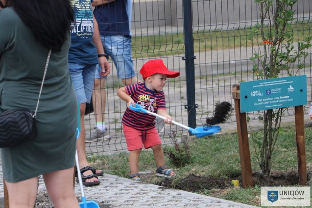 Dębowa aleja w Uniejowie została posadzona przez dwulatków